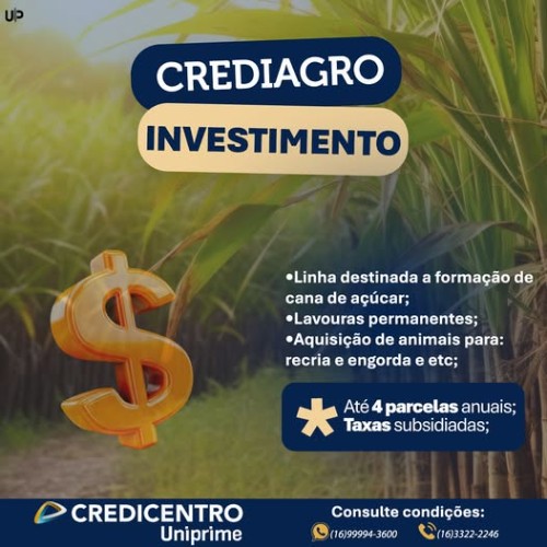 Serviço 4